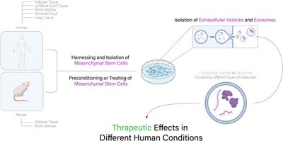 Regulation of the Nrf2/HO-1 axis by mesenchymal stem cells-derived extracellular vesicles: implications for disease treatment